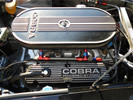 Motor Cobra